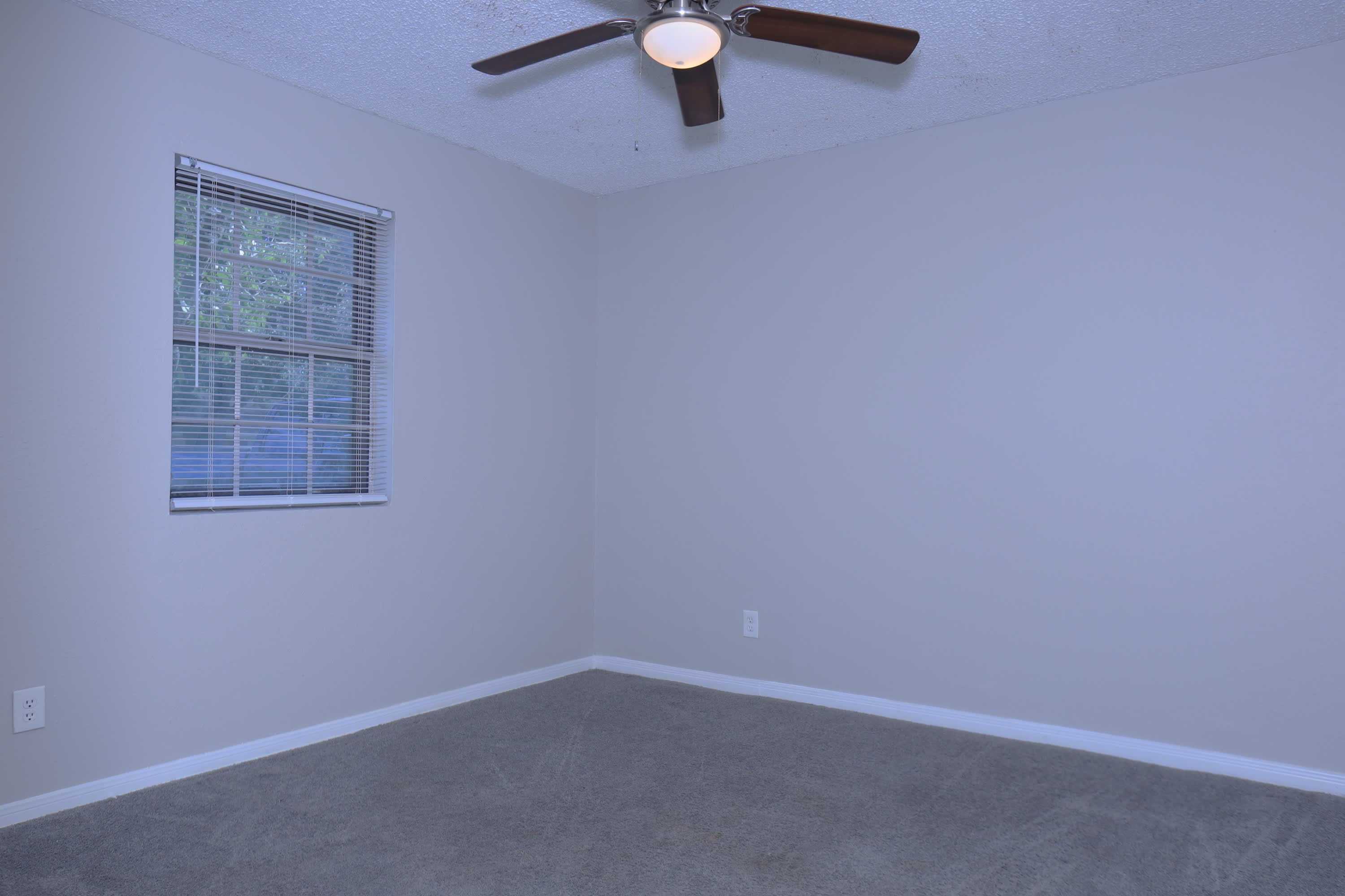 1117 County Road 515 – photo 4