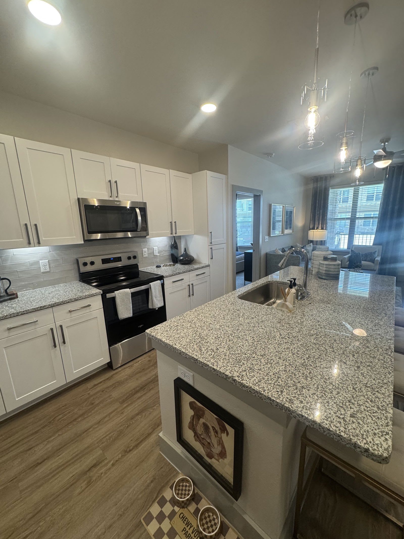 401 East Finley Boulevard – photo 2
