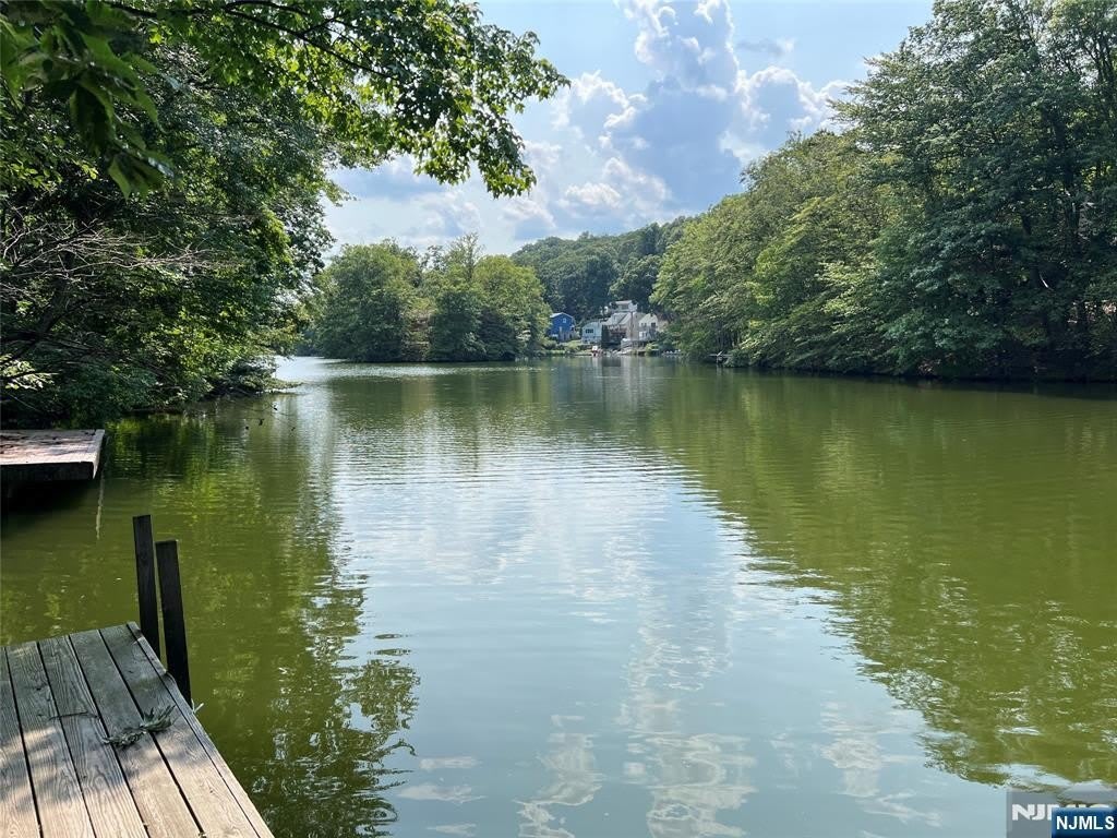 337 Skyline Lake Drive – photo 2