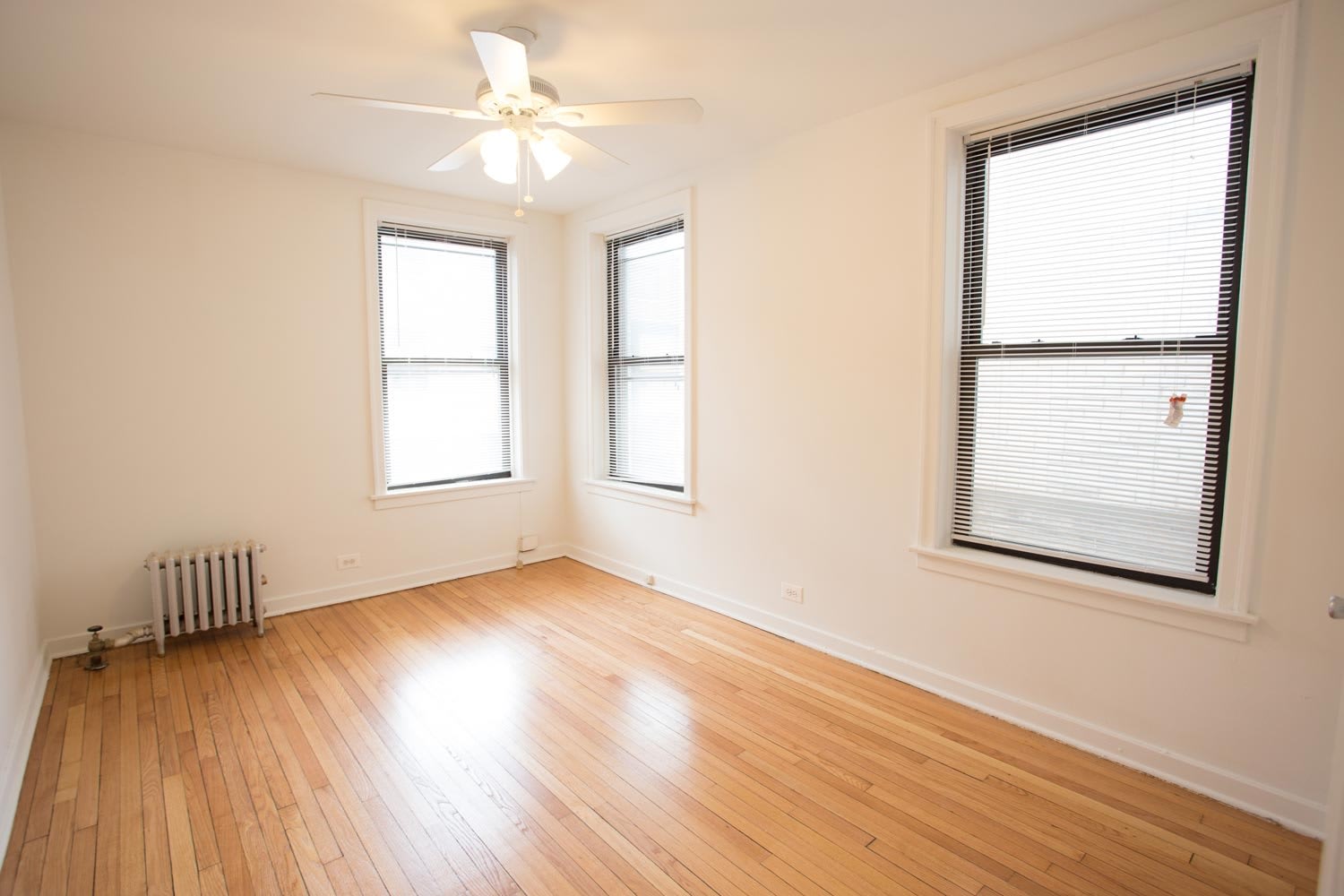 5337 S. Hyde Park Boulevard – photo 4