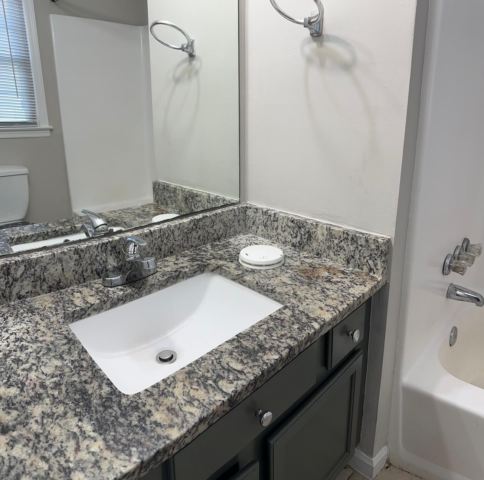 199 Holcomb Ferry Road – photo 5