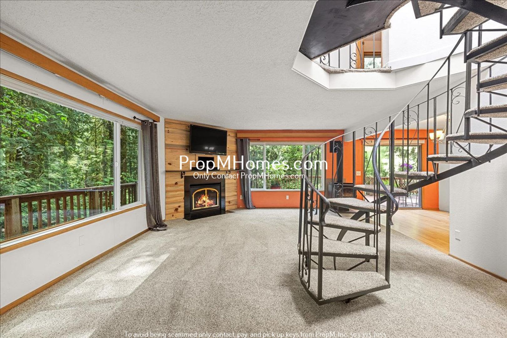 Rare Home Find – photo 3