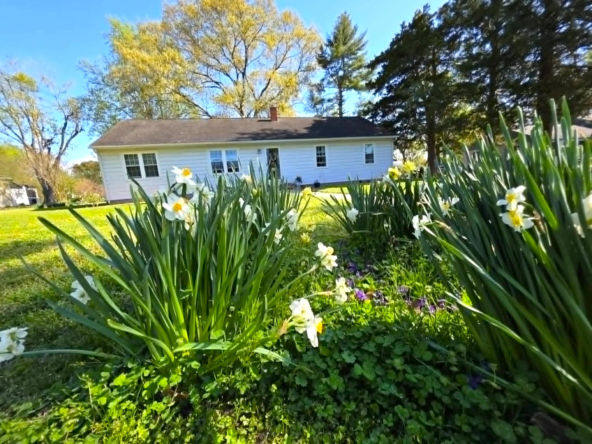 104 Lee Drive – photo 4