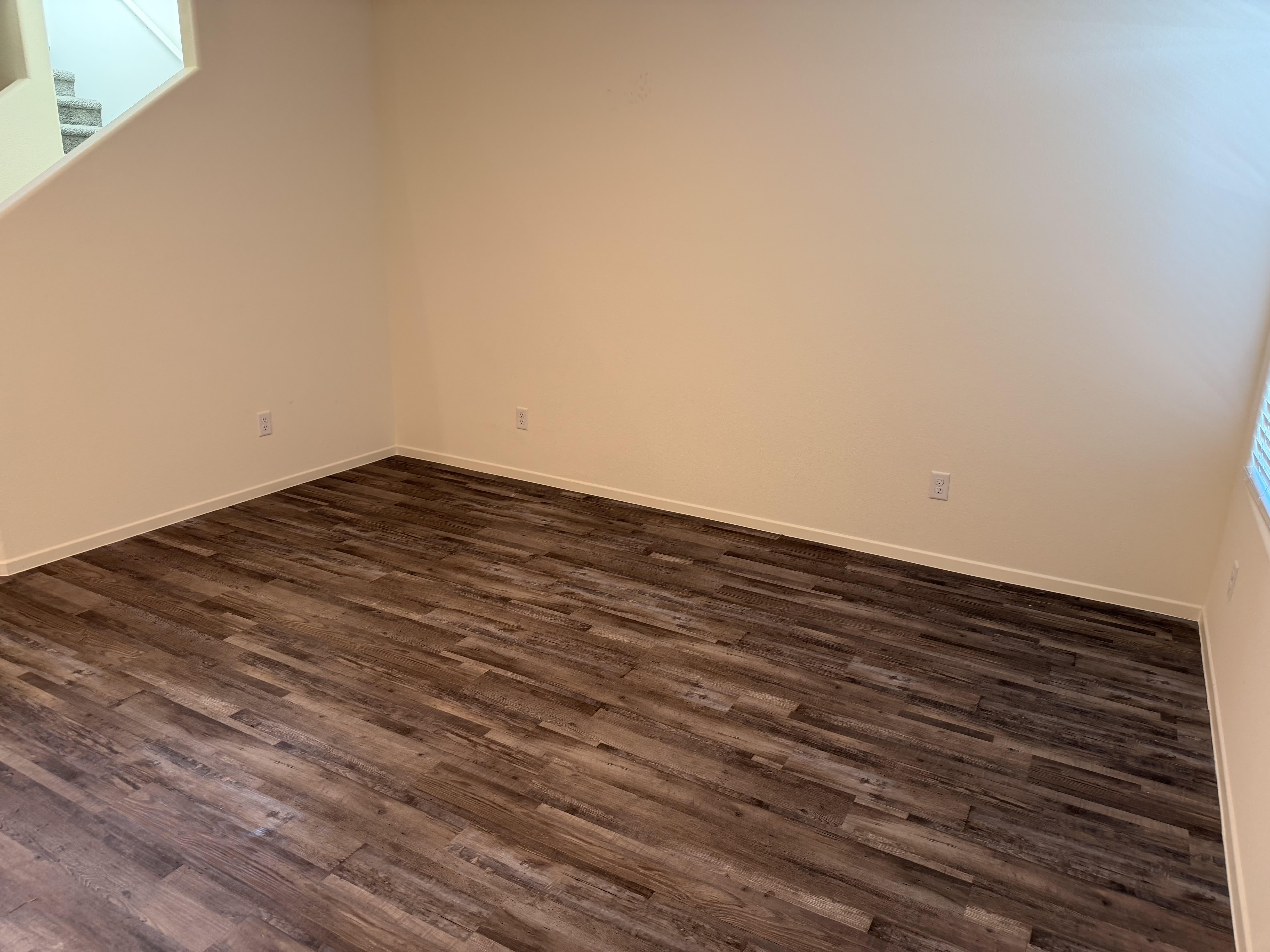 1717 Pamela Springs Lane – photo 4