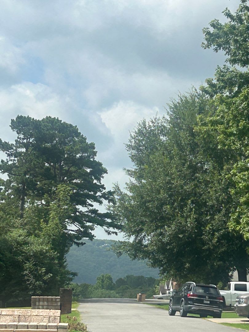 1611 Roe's Ridge – photo 4