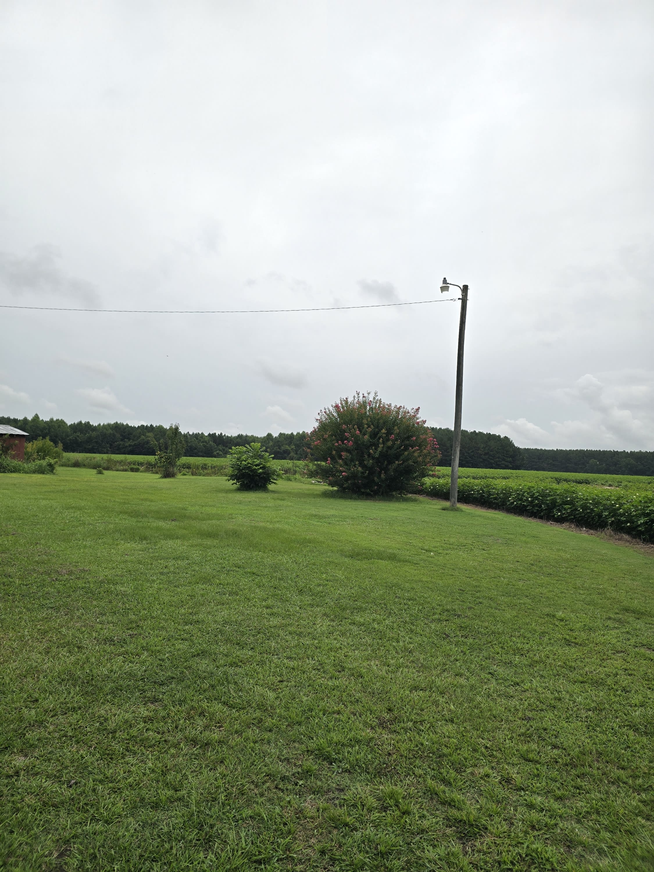 1717 Black Road – photo 3