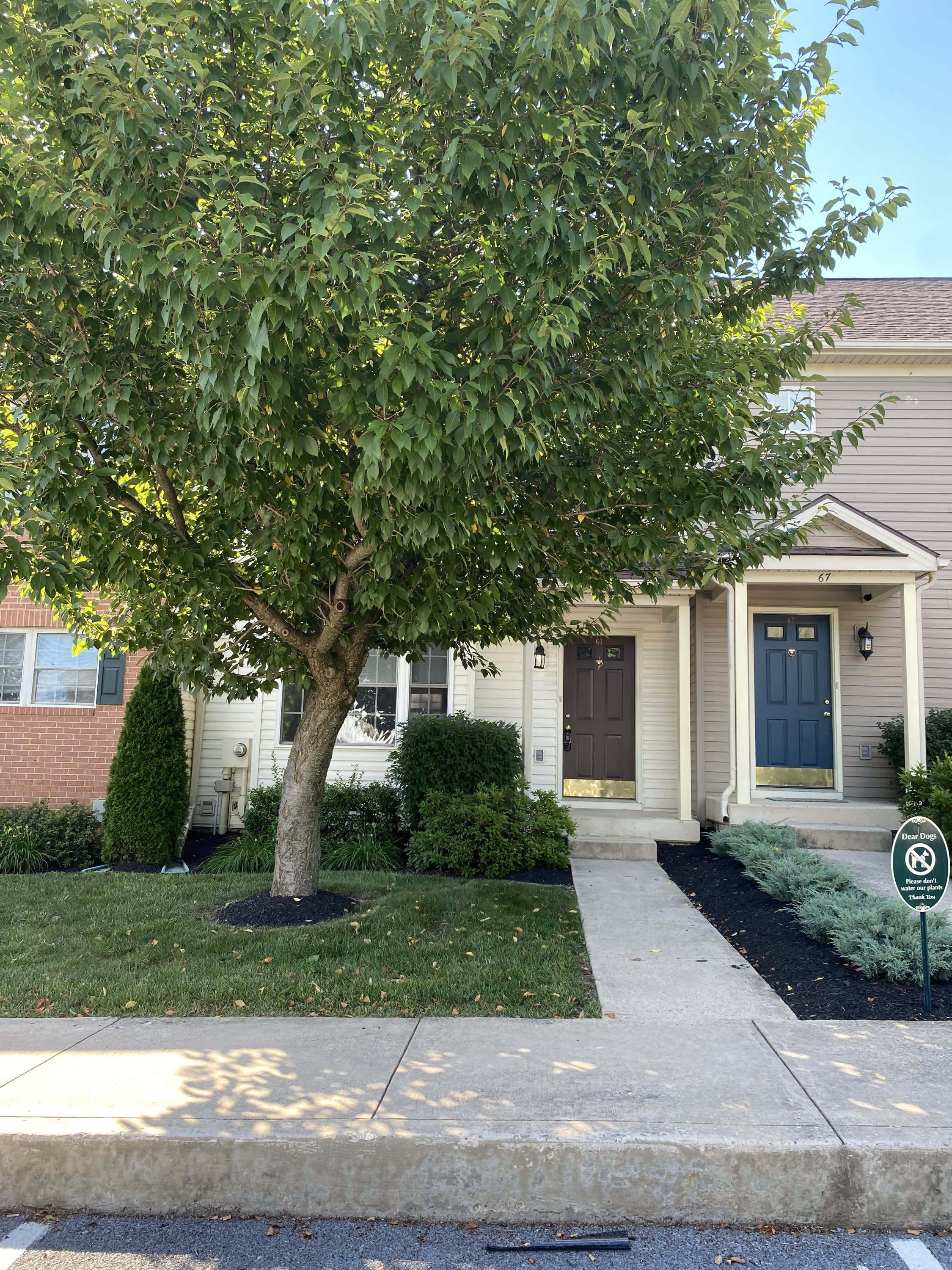 63 Mabel Lane – photo 1