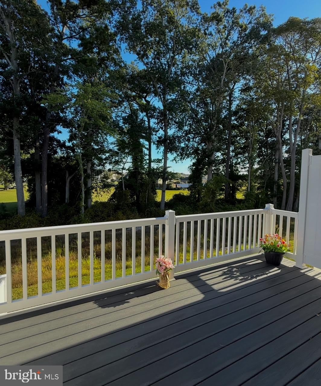 29405 OXFORD Drive – photo 3