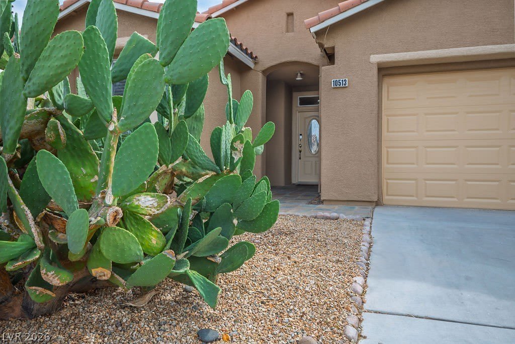 10513 Shanna Trellis Avenue – photo 4