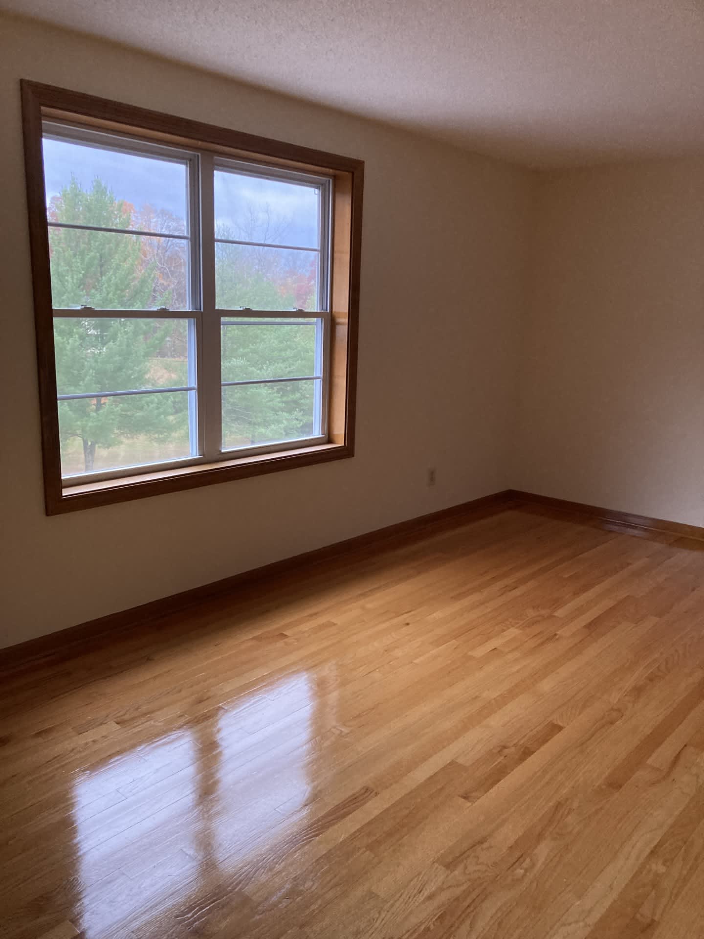 30 Mansfield Dr – photo 5