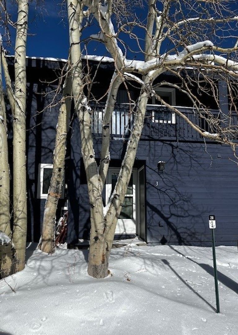Winter Seasonal Rental- Lakeside Townhouses #3 – photo 1