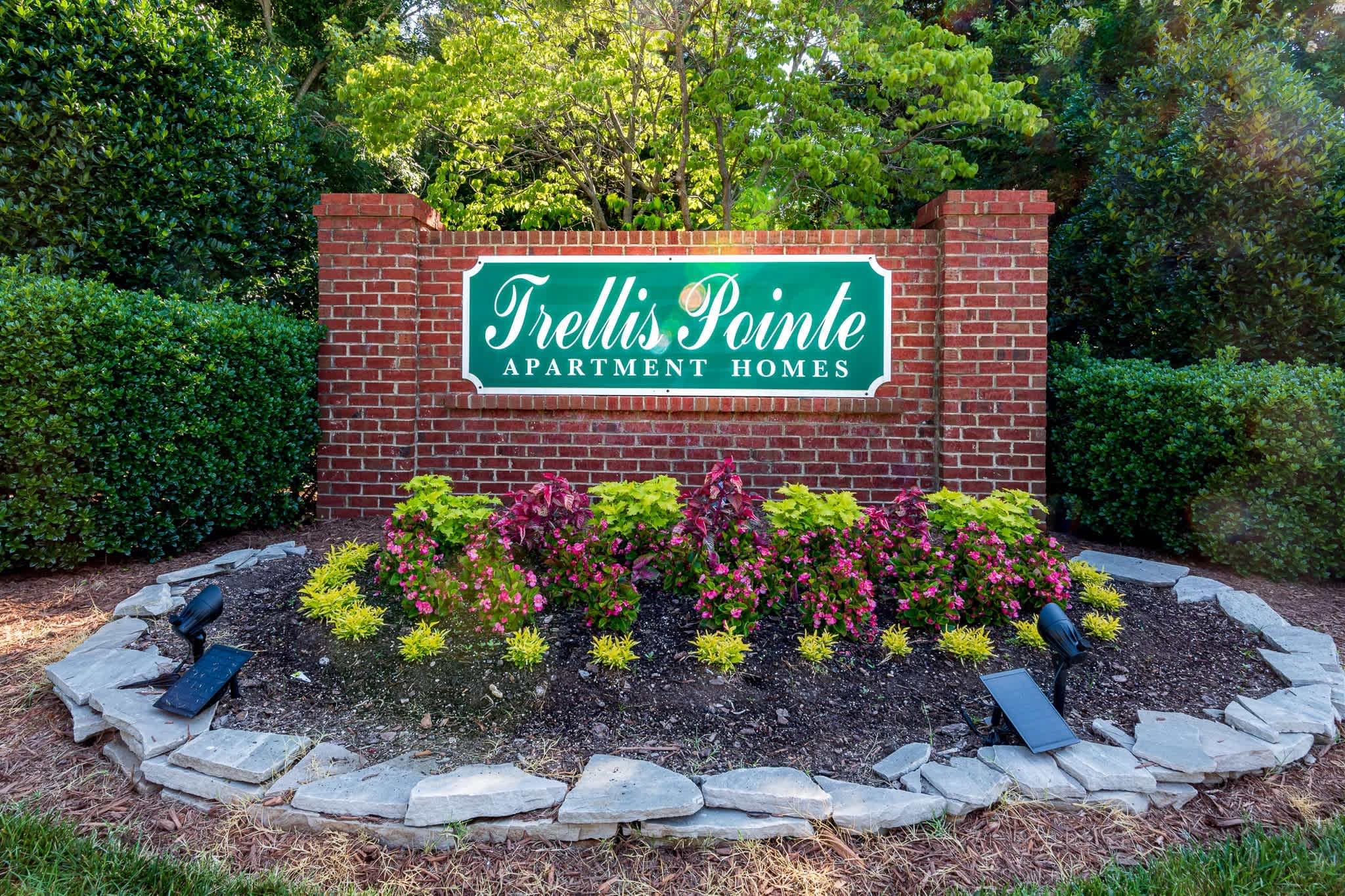 Trellis Pointe – photo 3