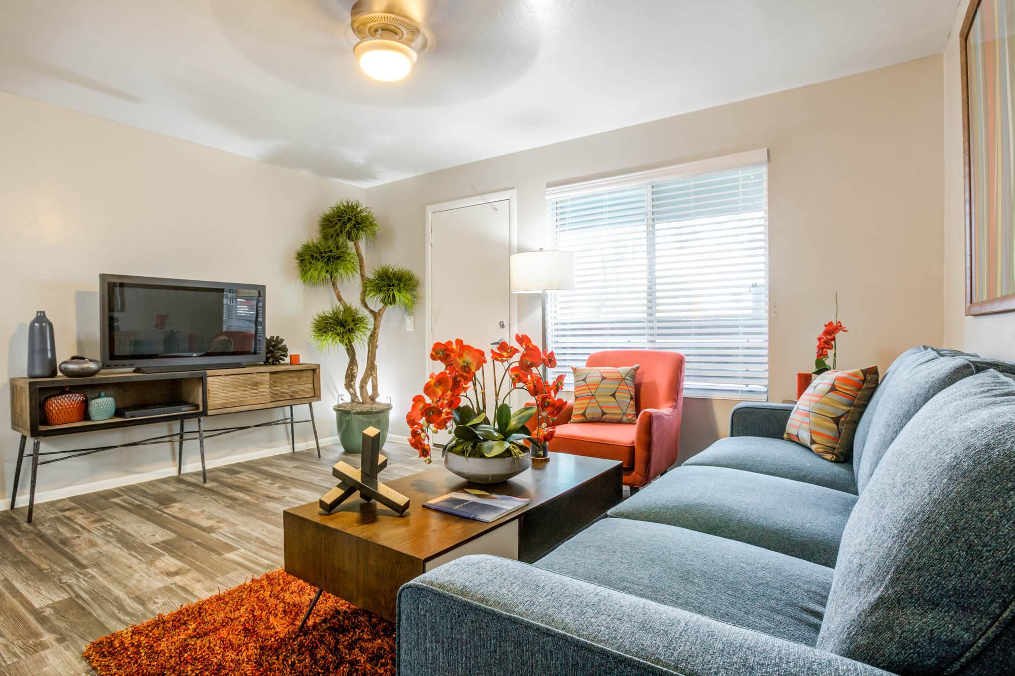 Agave Apartments – photo 4