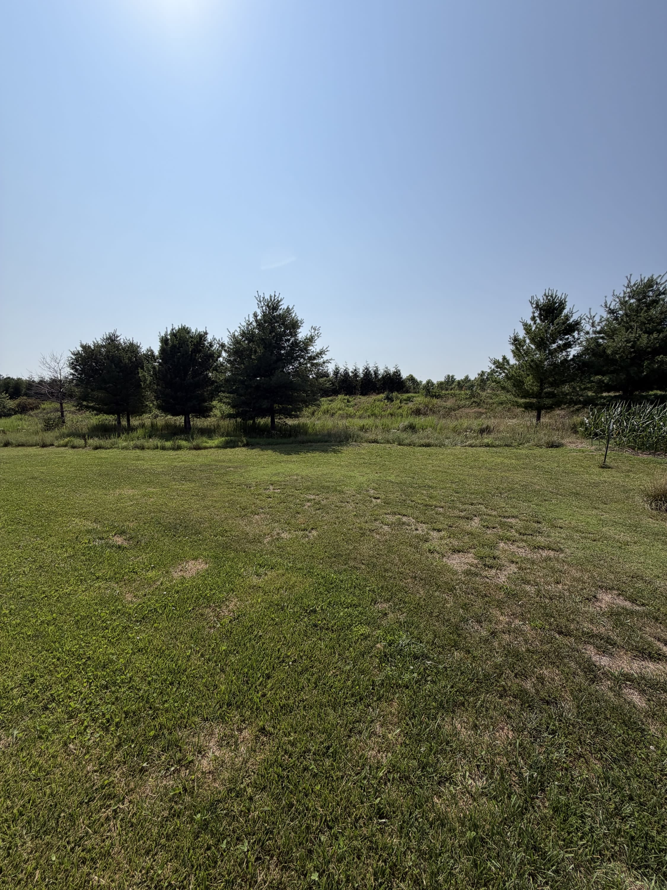 9518 Royal Tern Drive – photo 2