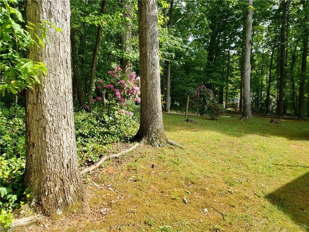 3800 Velinda Drive – photo 3