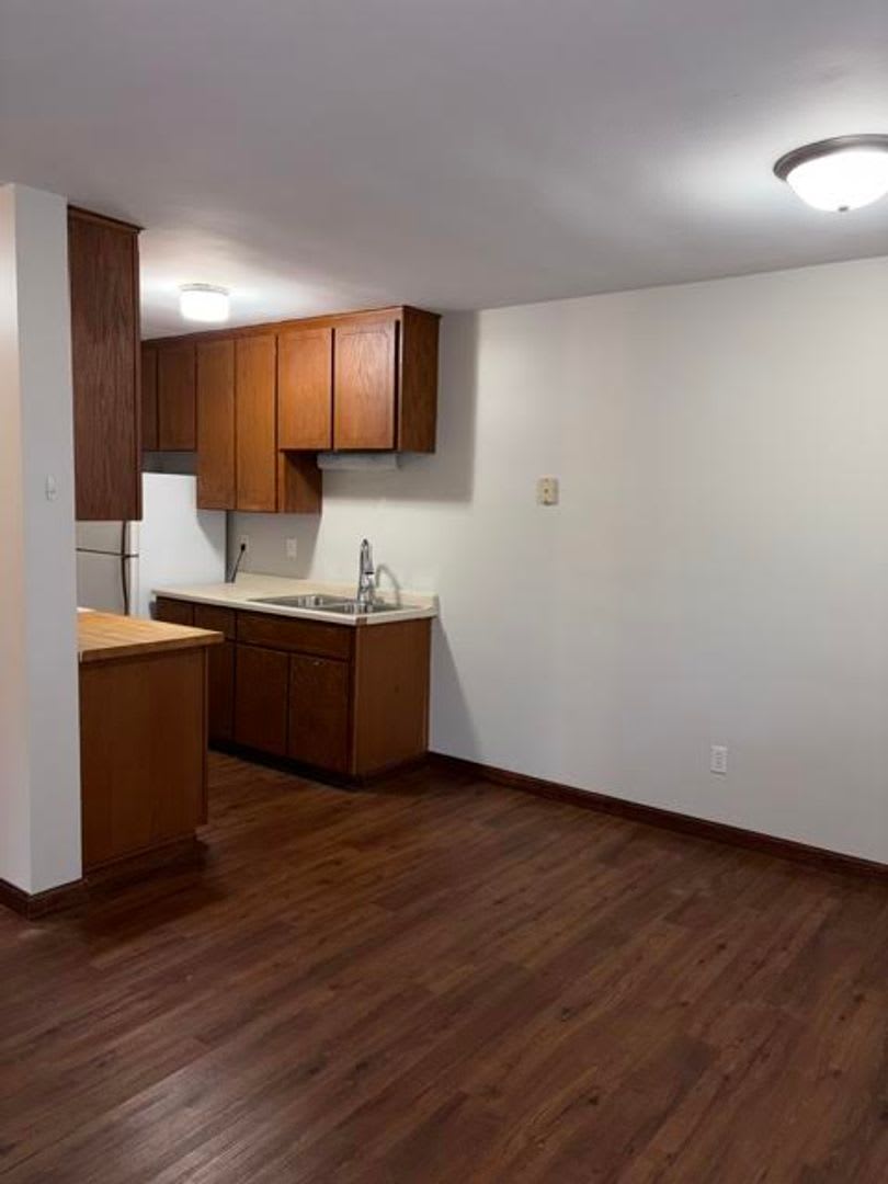 1 Bedroom Condo in St. Louis Park – photo 4