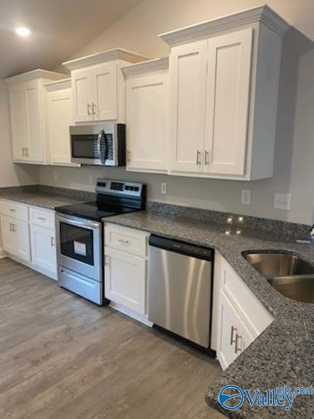 219 Alonzo Toney Drive – photo 2
