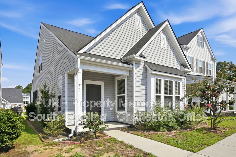 803 Lachicotte Creek Dr – photo 2
