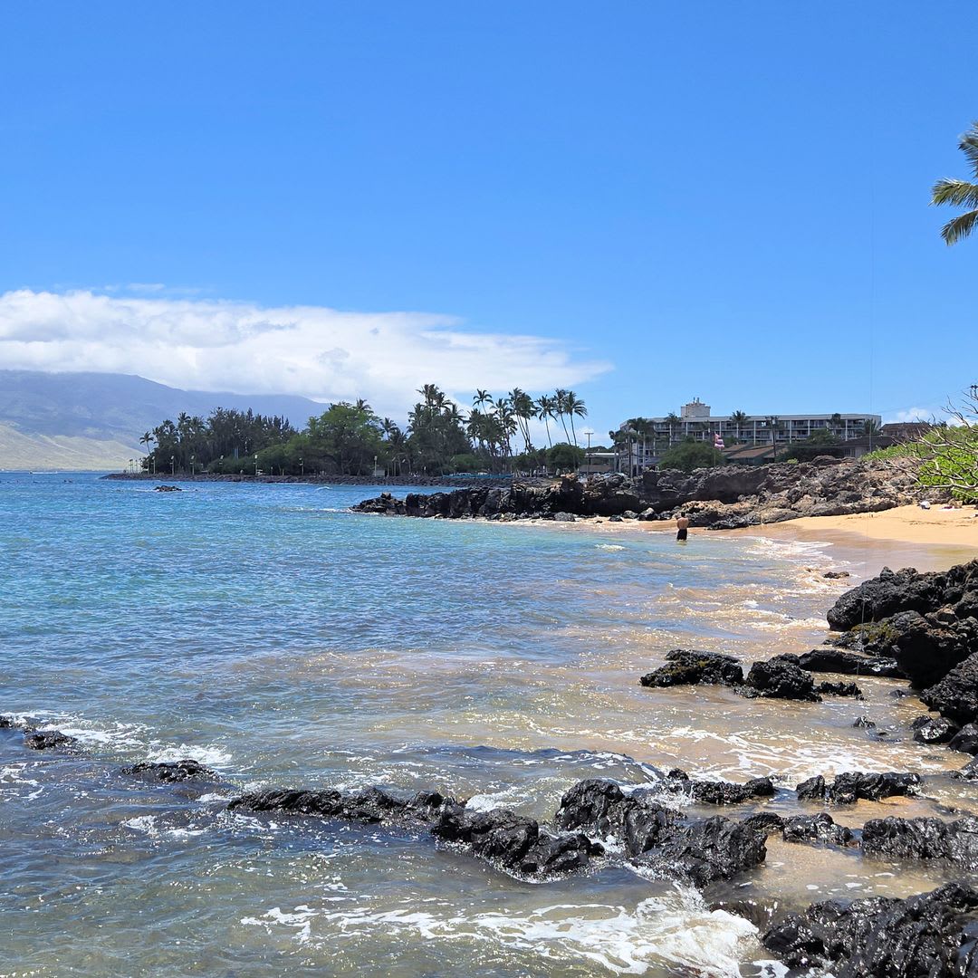 S Kihei Furnished Beach Condo Near Charlie Young Beach And Cove Park – photo 2