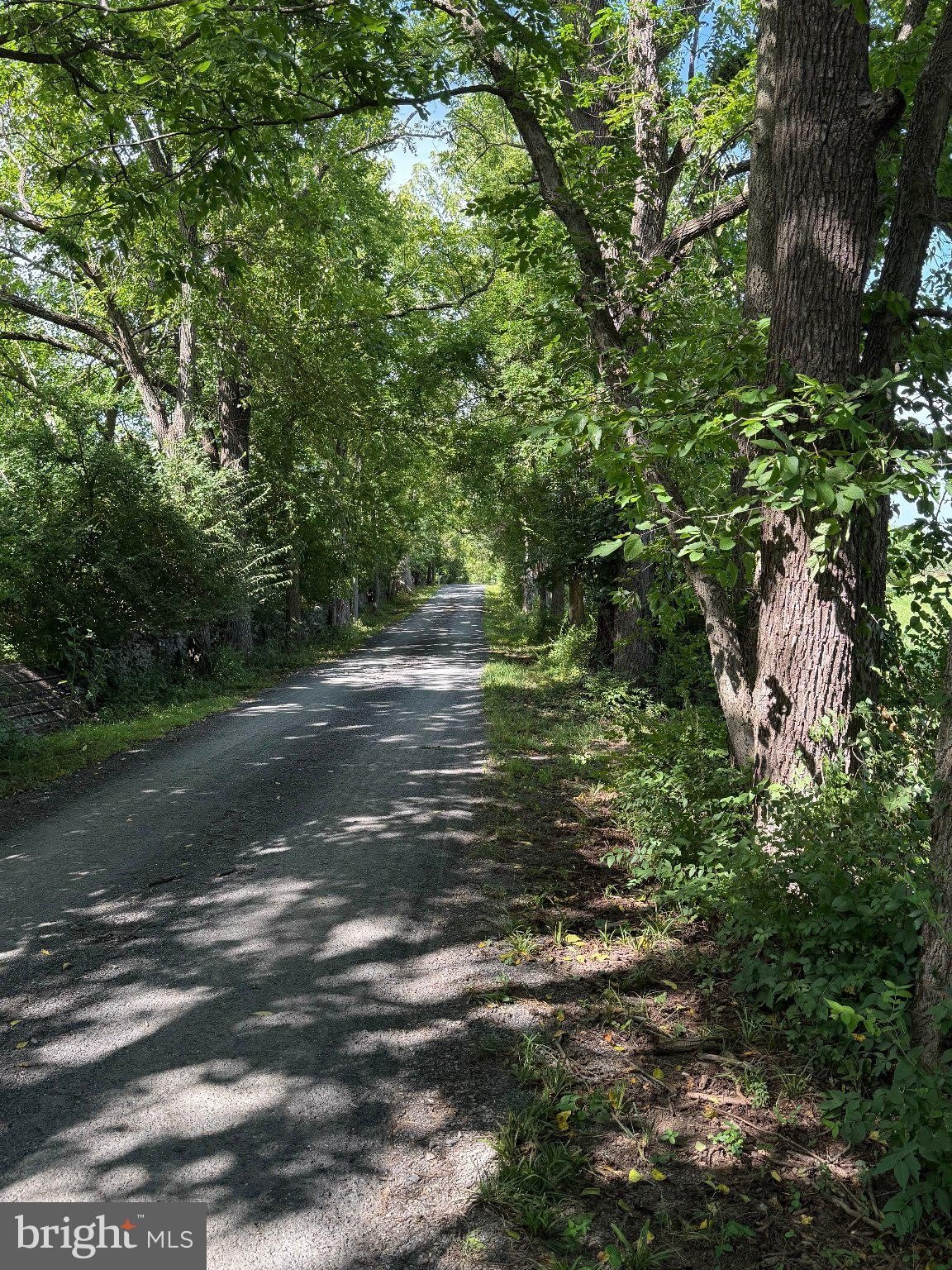 857 PAGE BROOK Lane – photo 2