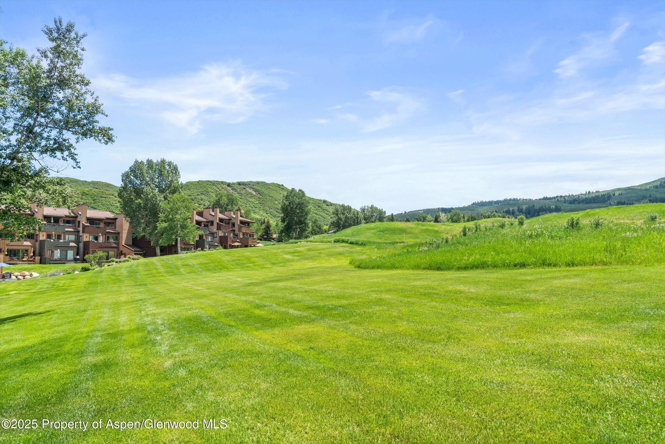 294 Snowmass Club Circle – photo 3