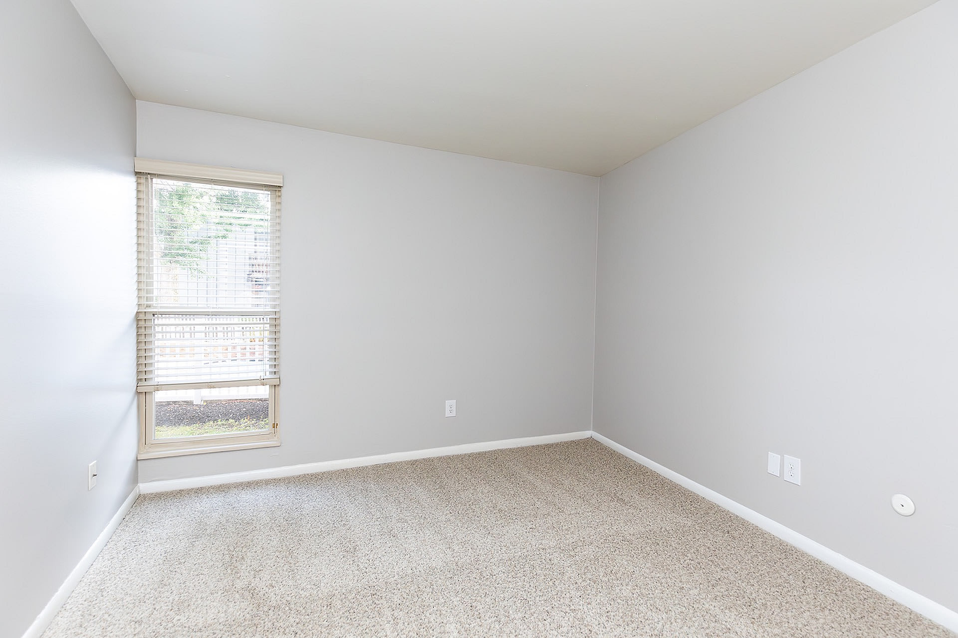 Tivoli Apartments – photo 3