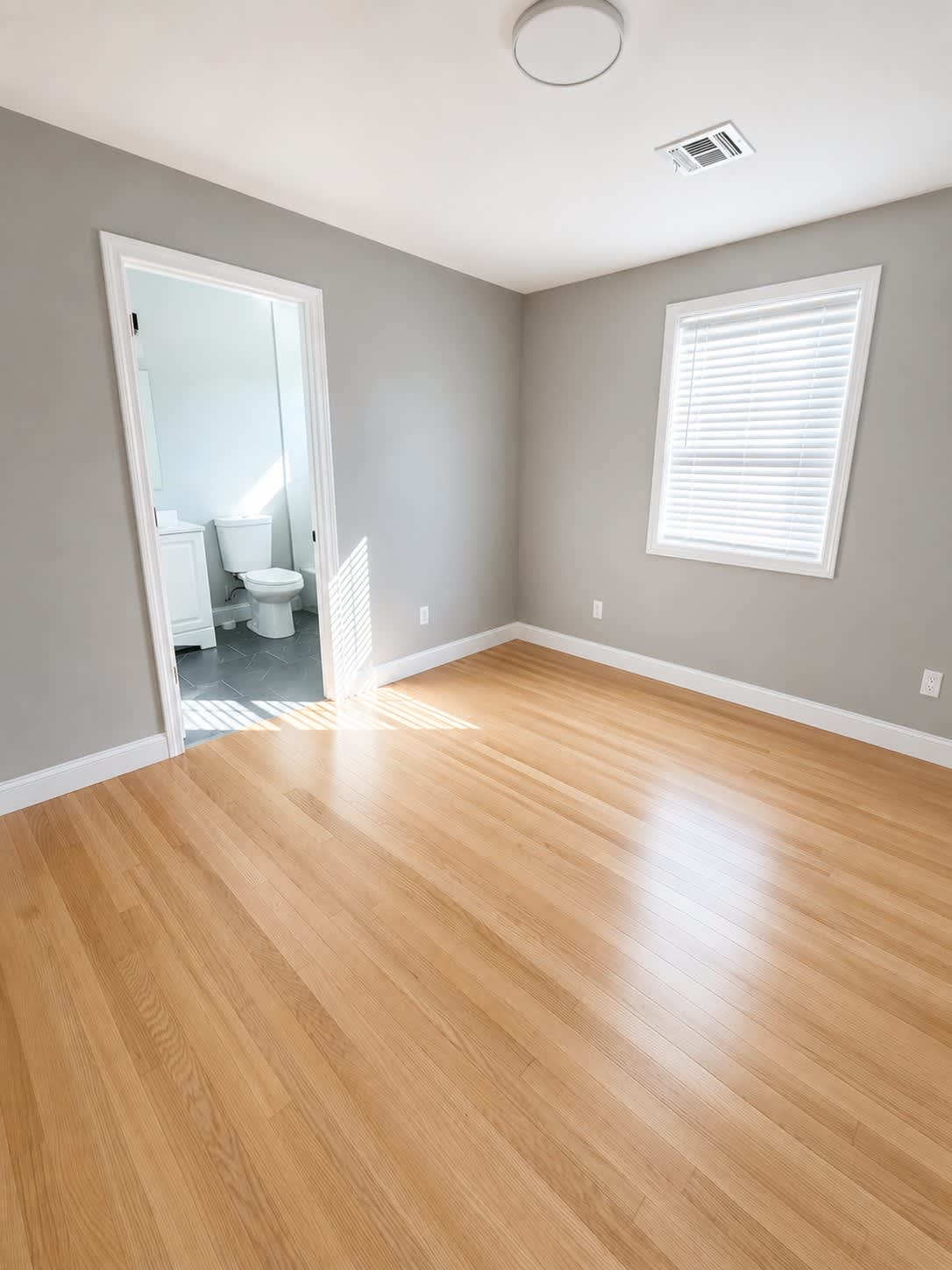 31 Vandewater St – photo 4