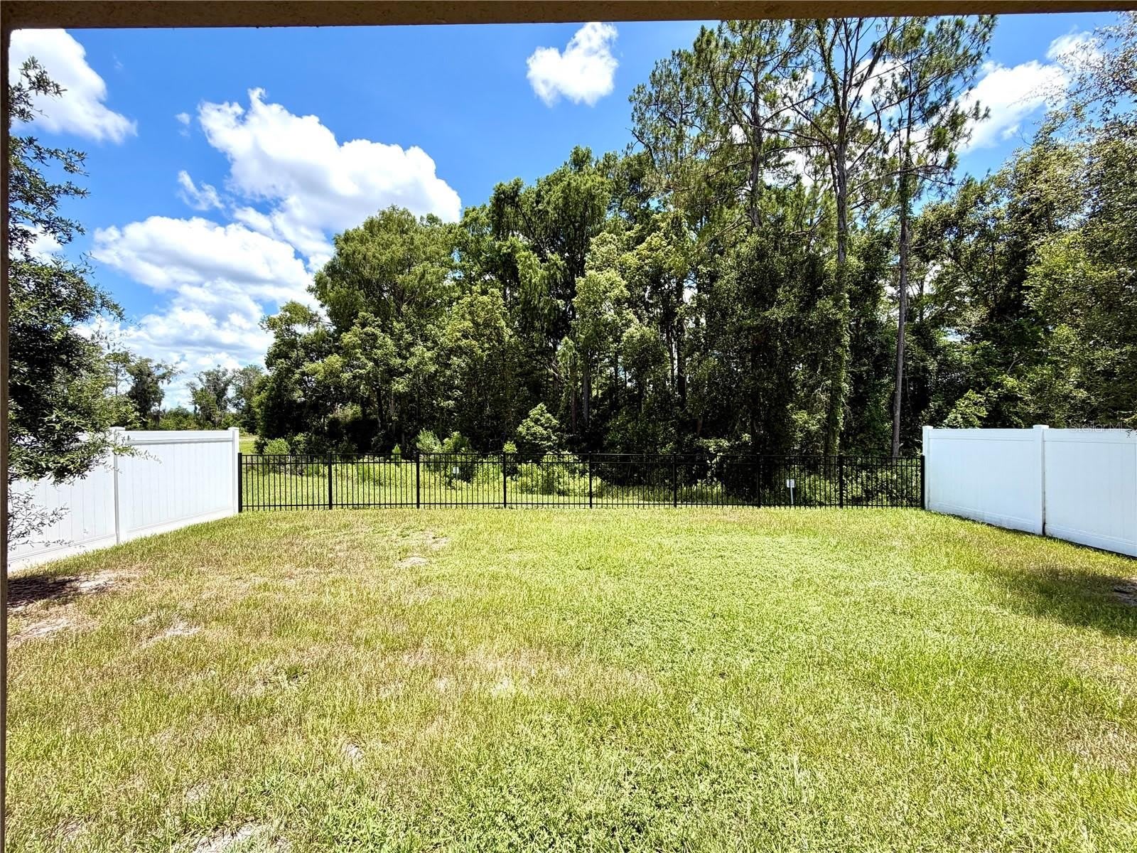 9136 Cape Cod Road – photo 5