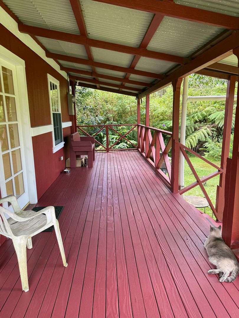 Cozy 2BR/1BA home in Fern Forest – photo 4