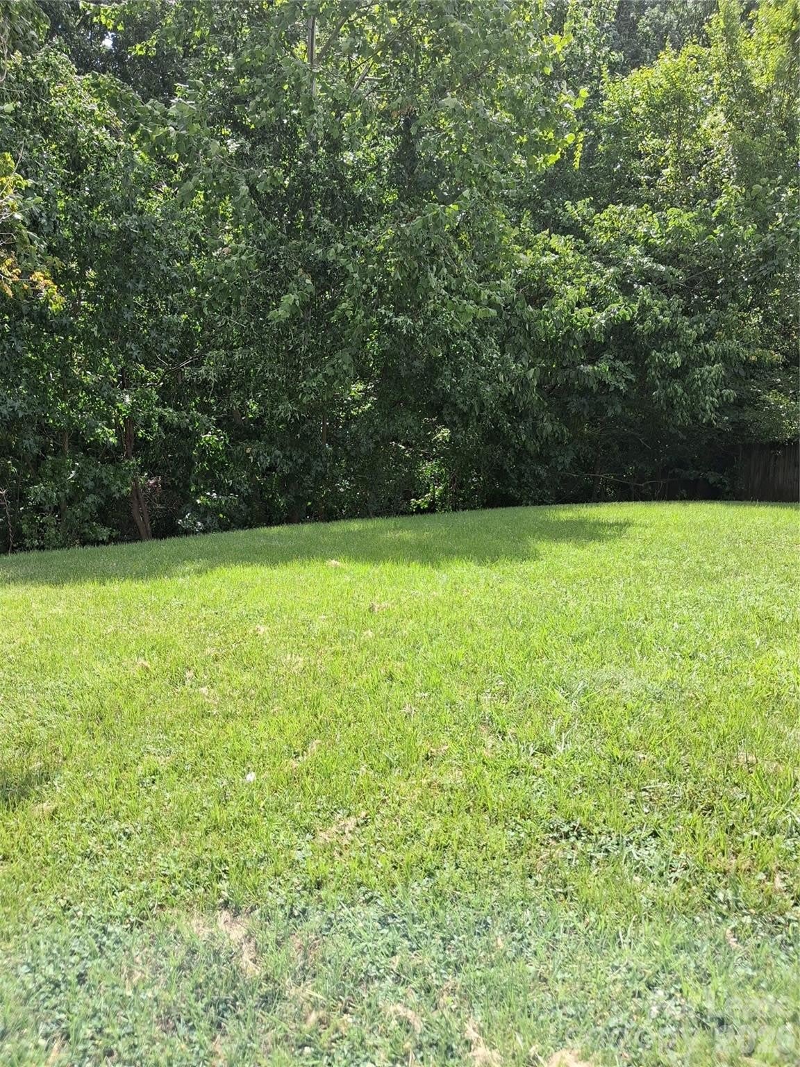 8214 Deodora Cedar Lane – photo 2