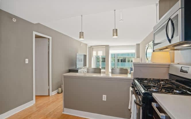 1101 3rd St SW Apt 408 – photo 3