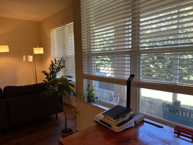 3916 Silverlake Way – photo 3
