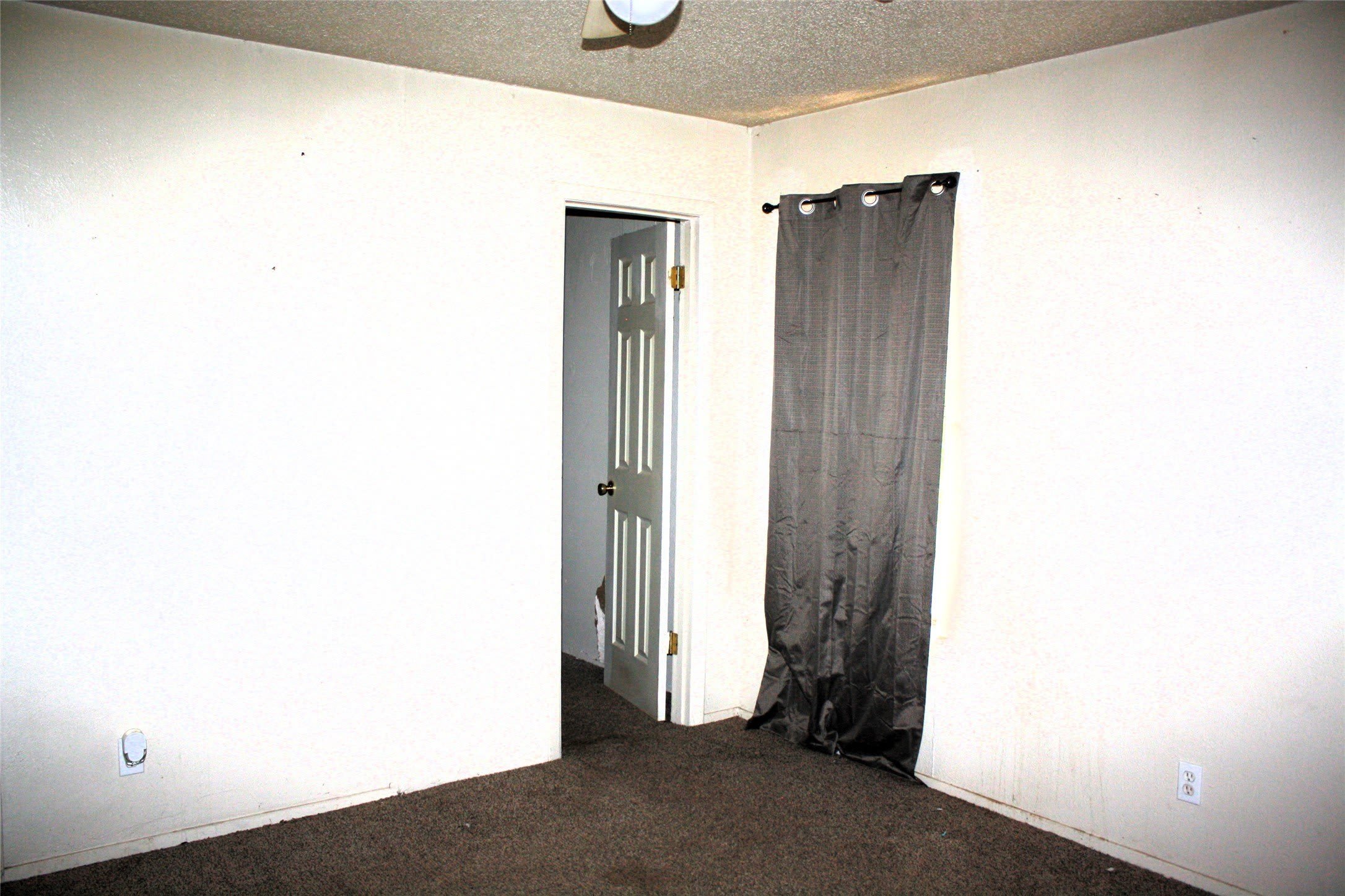 423 Waller Drive – photo 3