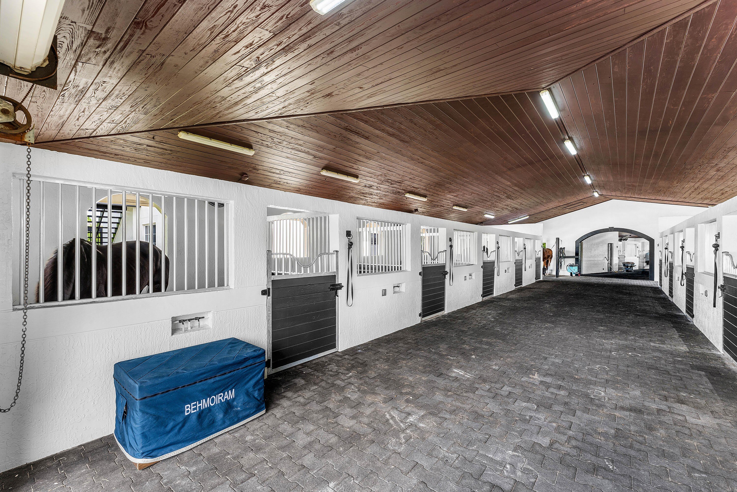14155 EQUESTRIAN Way – photo 5