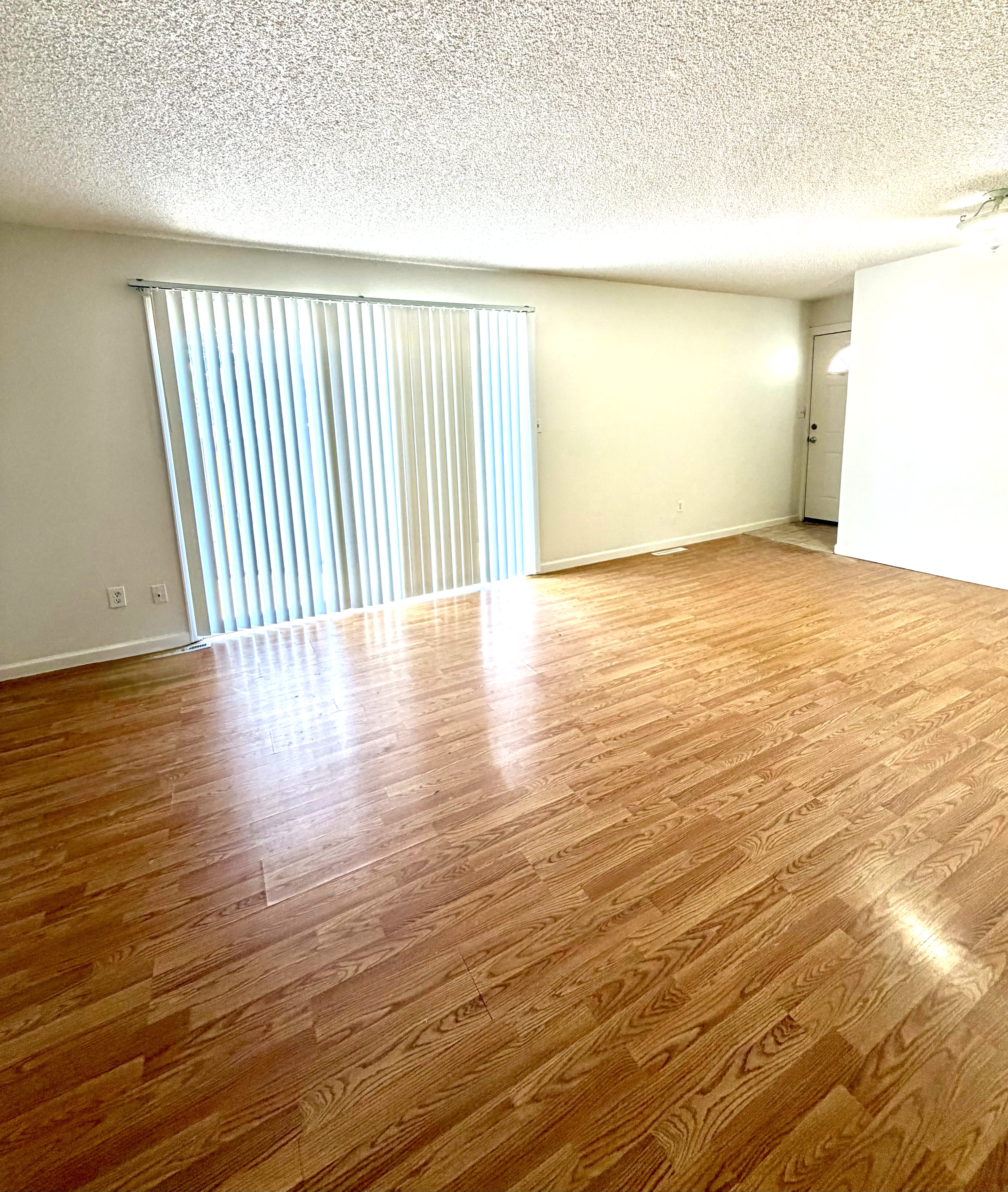 8019 Wolff St – photo 3