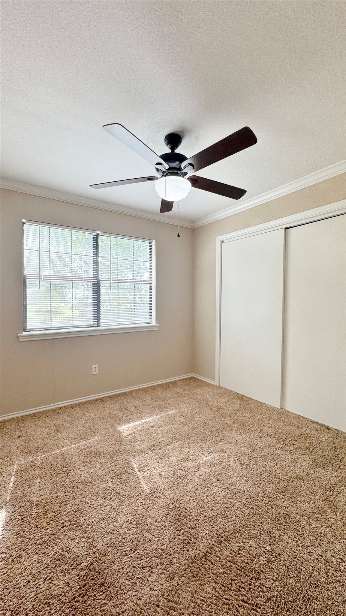 304 Boot Ranch Road – photo 5