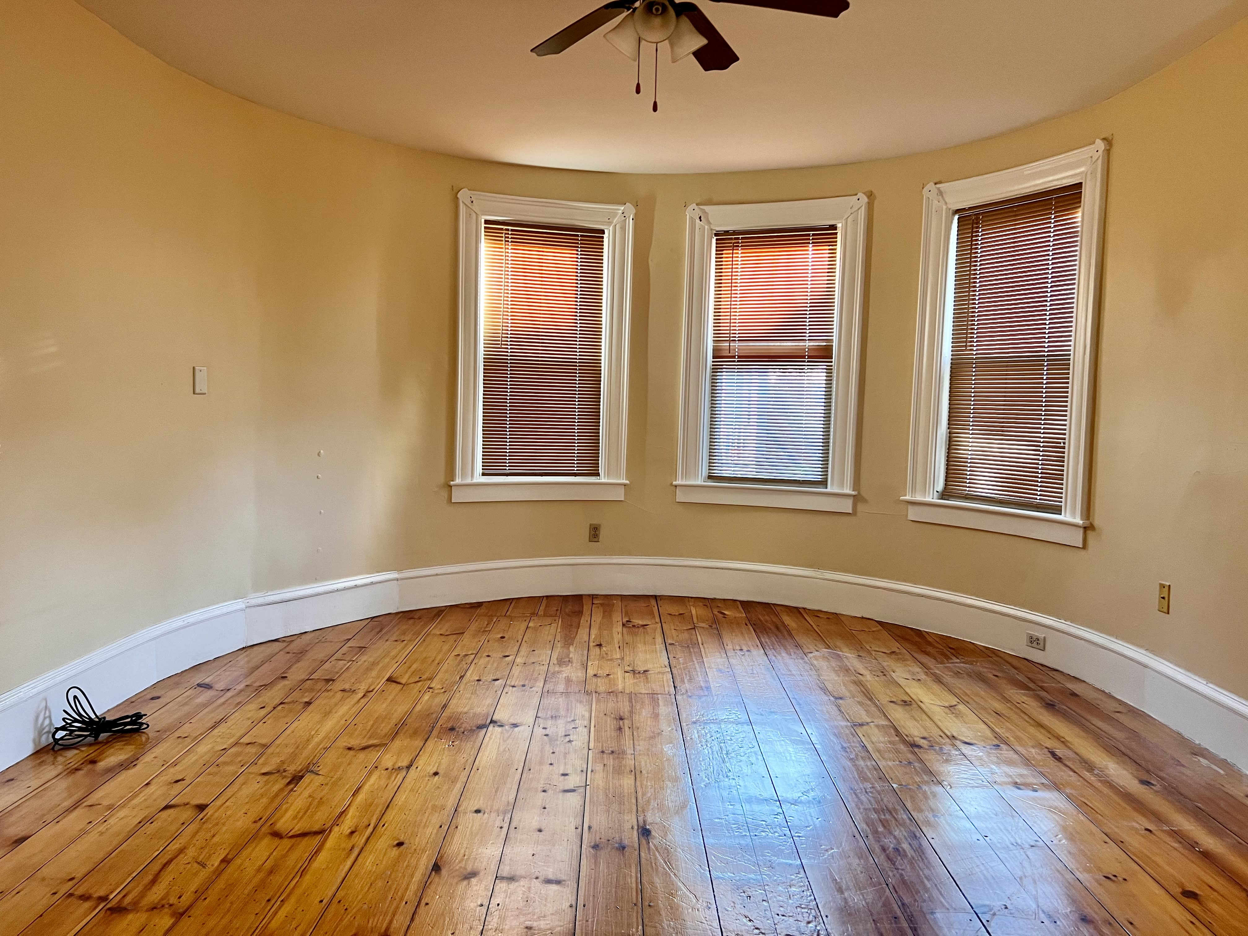 118 Palm Street – photo 3