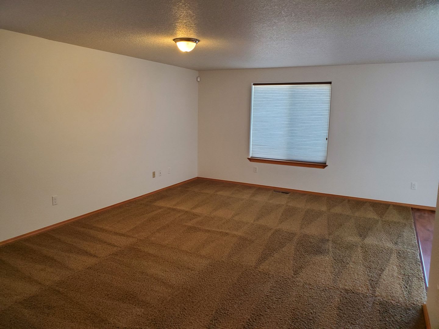 3-Bedroom House in Newberg – photo 4