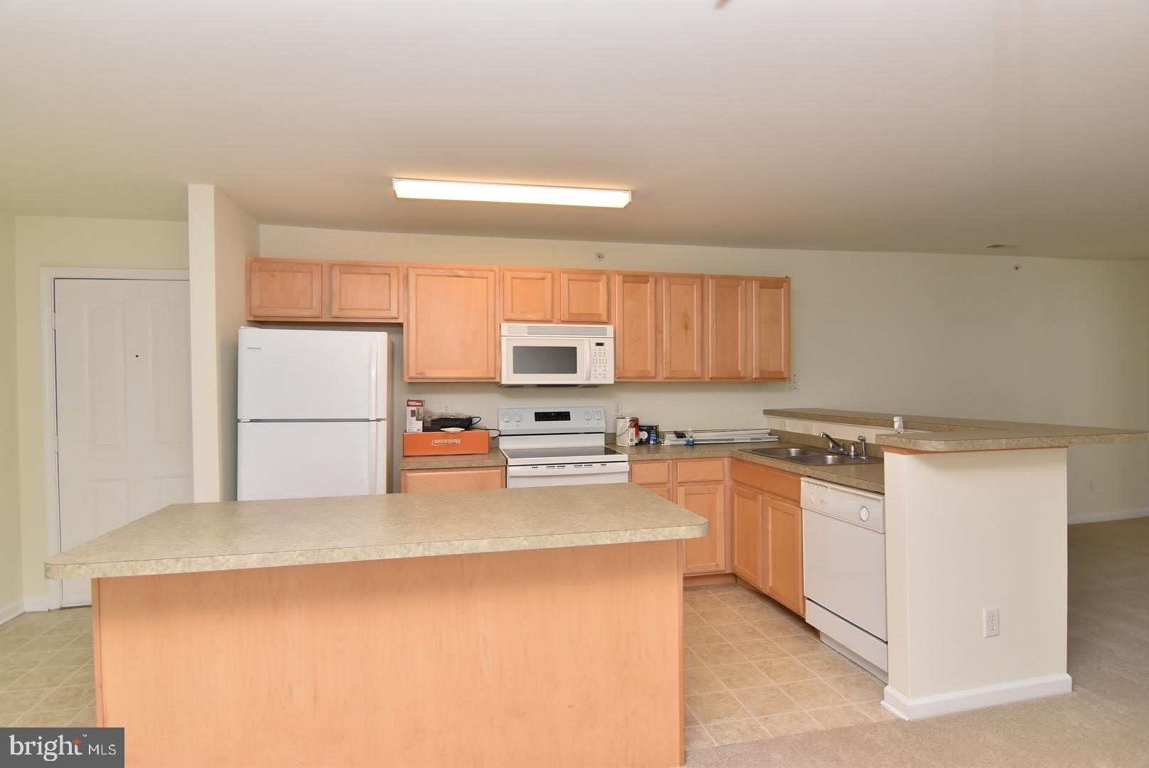 1306 CAITLINS Way – photo 5