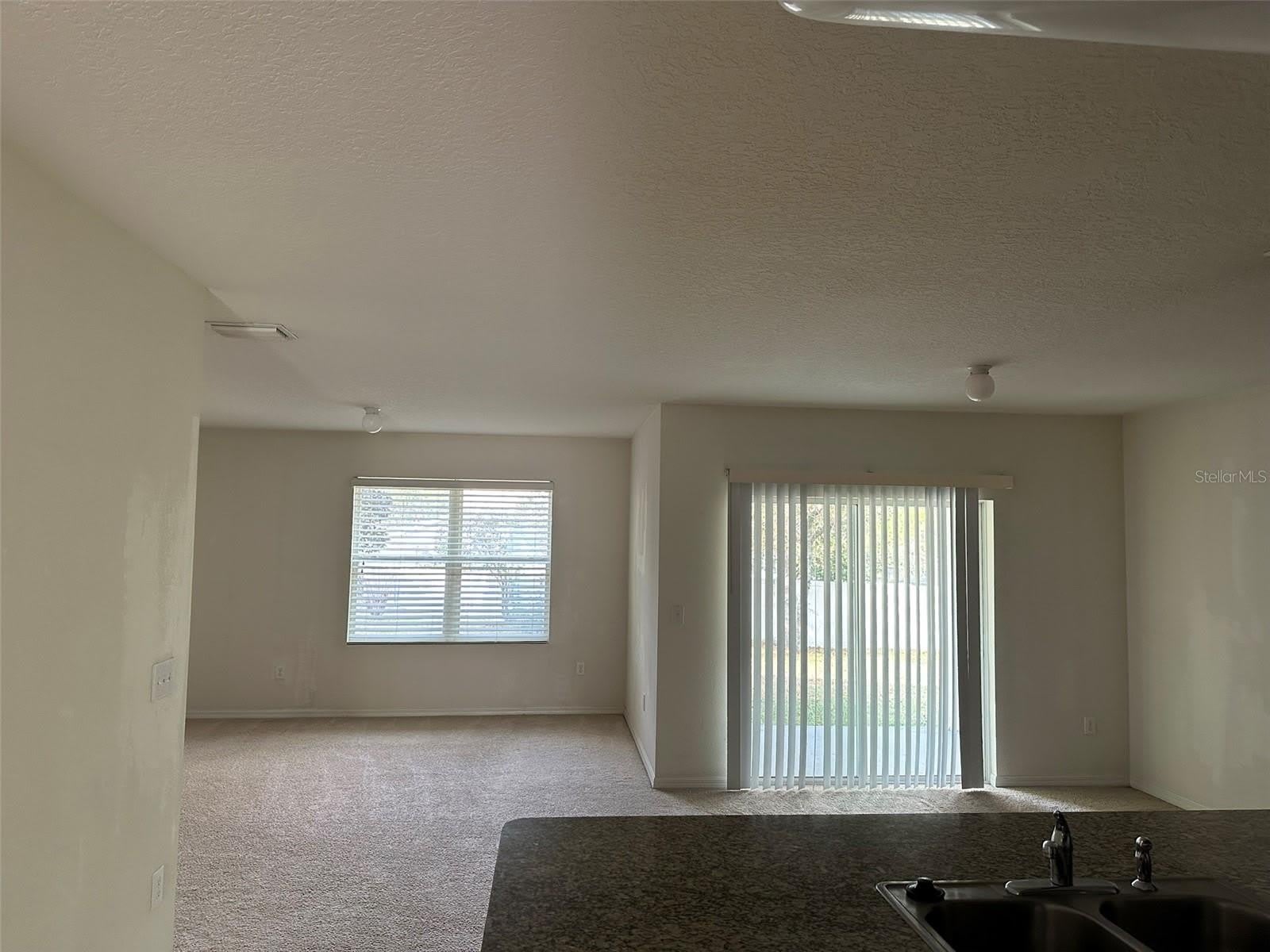13515 HAVERHILL Drive – photo 4