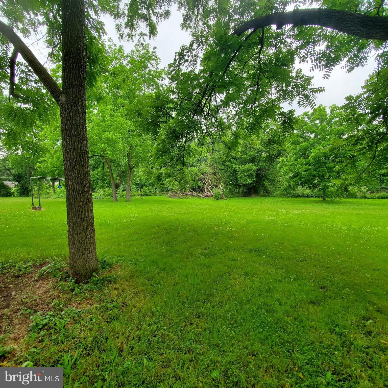 12512 STONE BRIDGE Drive – photo 2