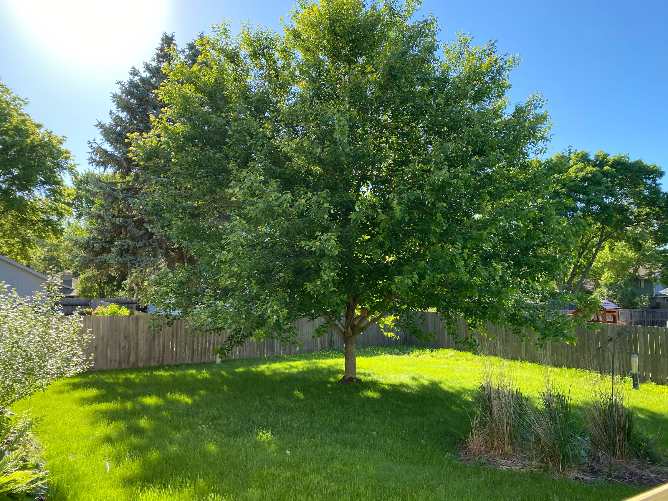 10509 Ricardo Road – photo 3