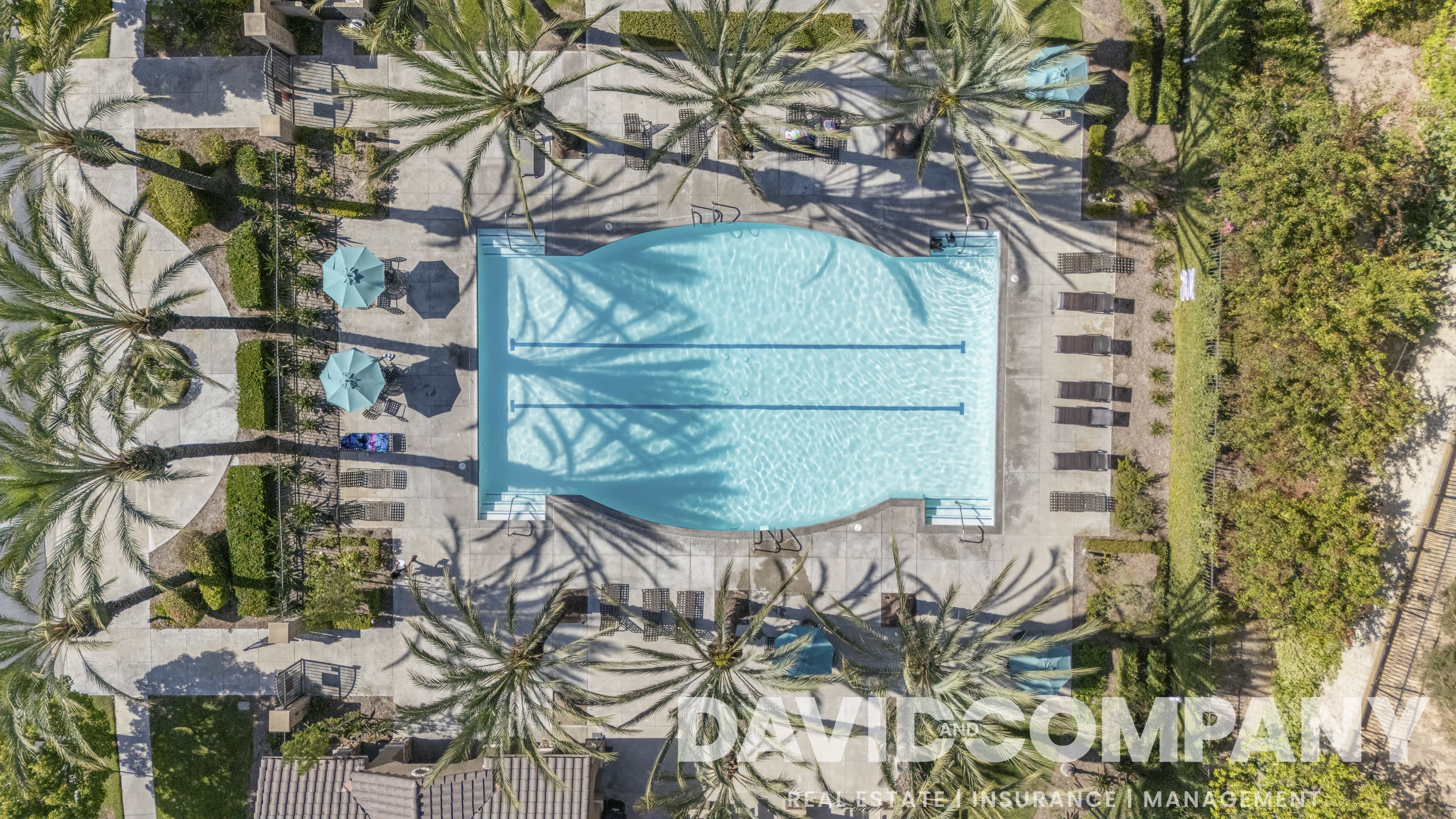9105 Calvin Way – photo 5