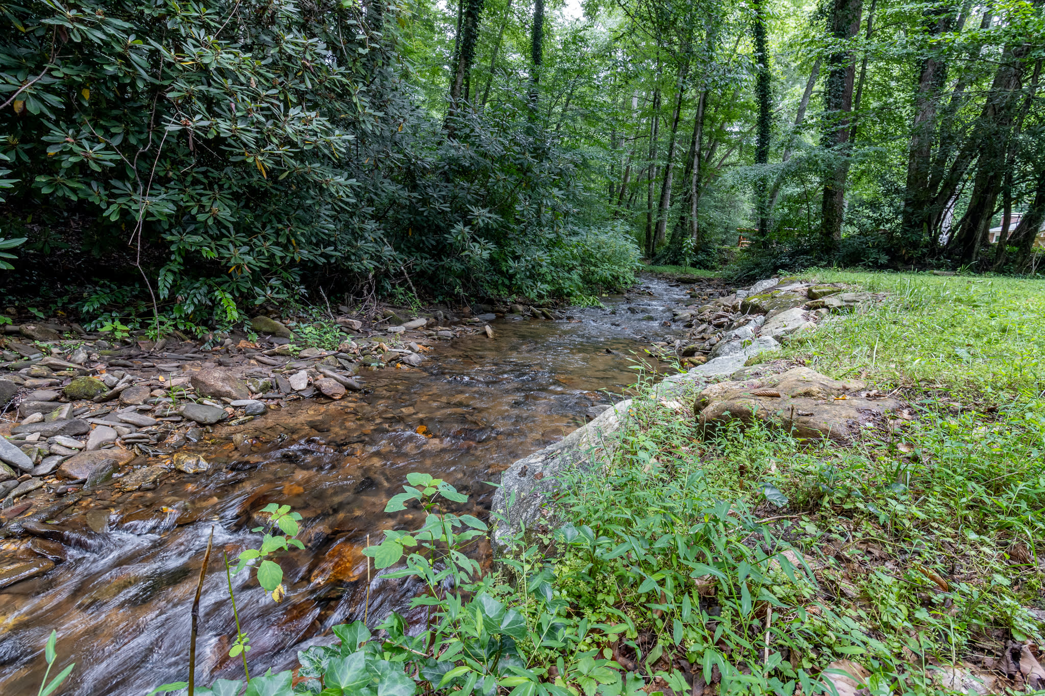 493 Kings Creek Road – photo 4