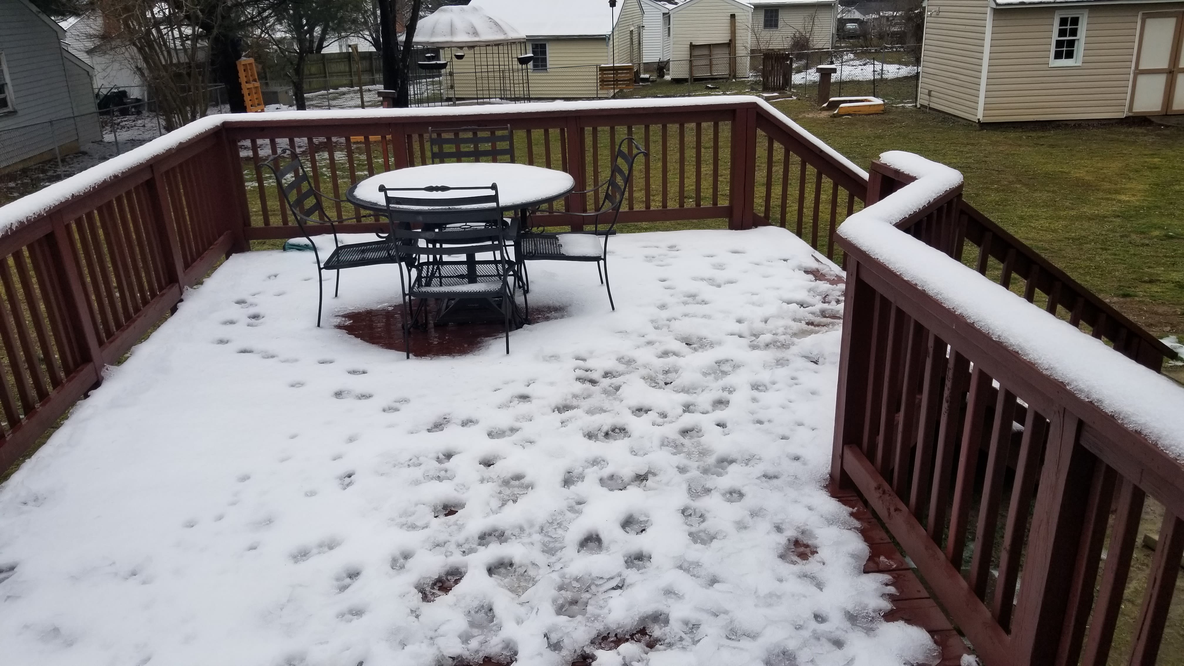 6538 Tammy Lane – photo 3