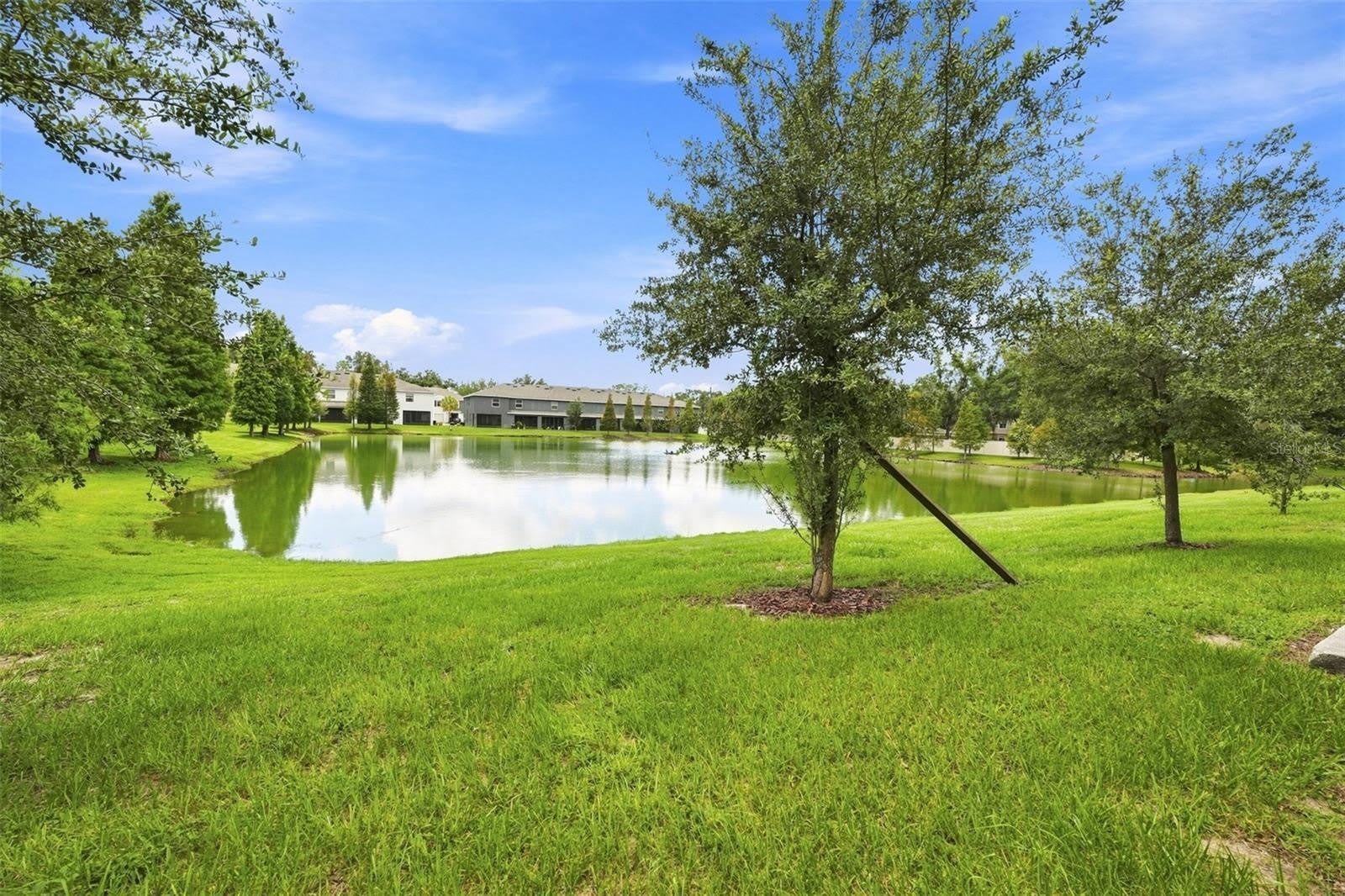 3144 PLEASANT WILLOW Court – photo 4