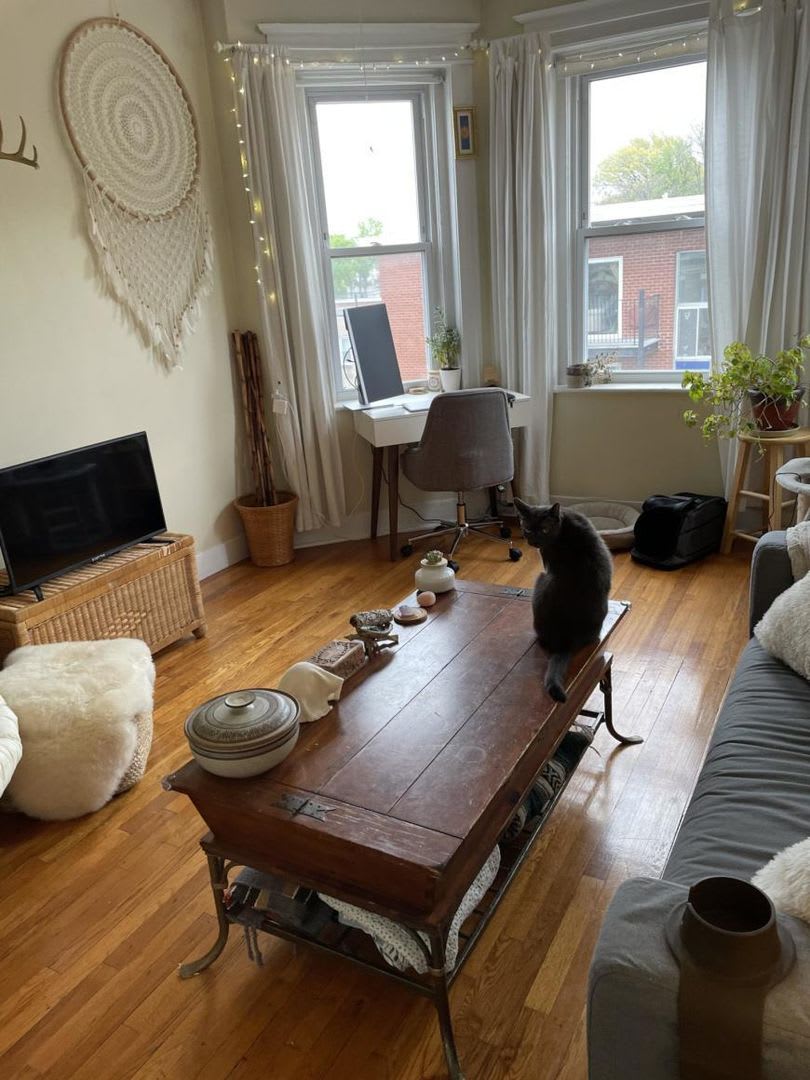One Bedroom Comm @ Warren Brighton/Allston – photo 1