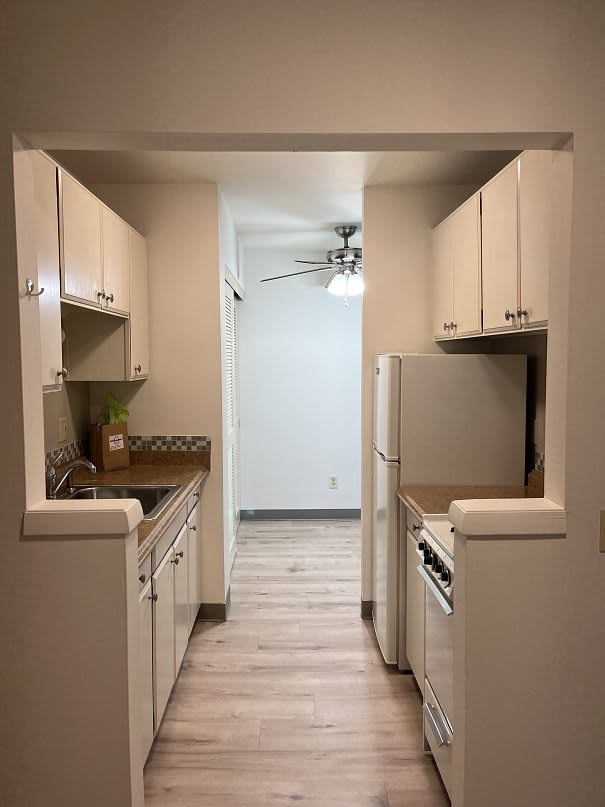 Webster Terrace Ii – photo 2