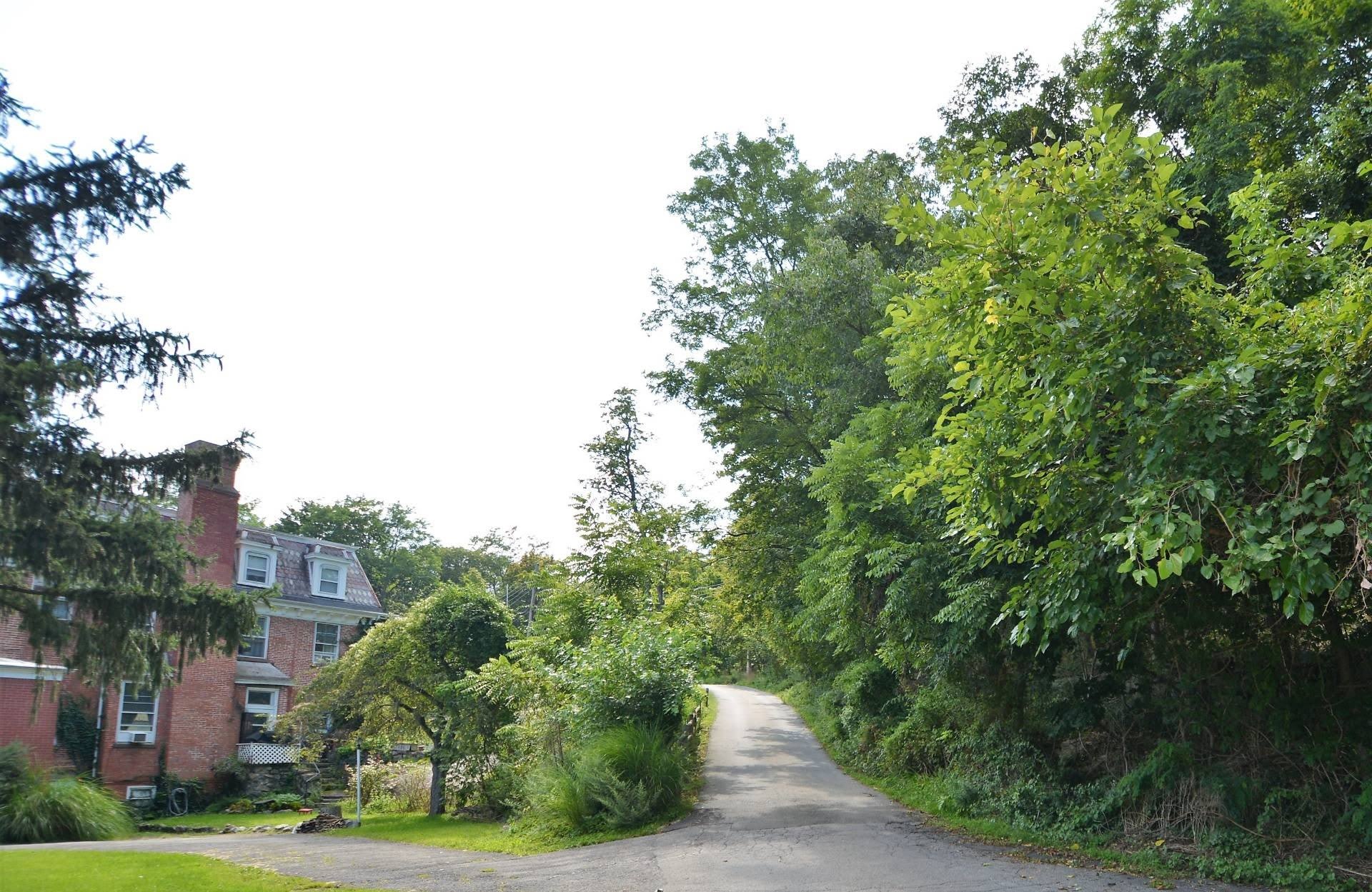 3 Pine Terrace Road – photo 5