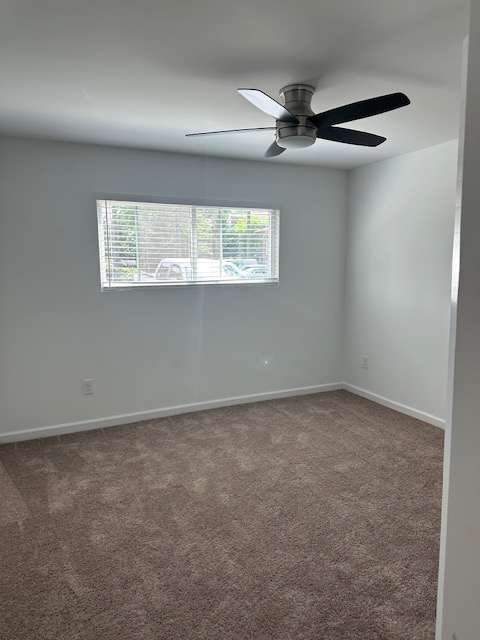 Kenco Lavista – photo 4